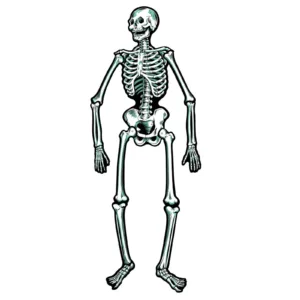 Beistle Two Jointed Skeletons, 22 inches tall - Party Decoration for Halloween