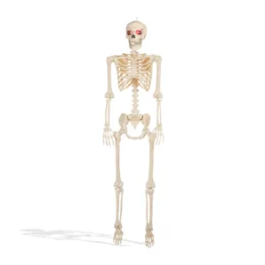 5' Animated Full Size Halloween Skeleton Decoration, Lightup Eyes and Speaker