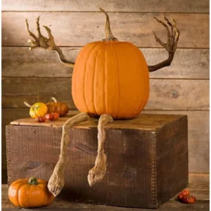 Plow & Hearth Set of 4 Bendable Pumpkin Arms and Legs | Halloween Decor Sporky