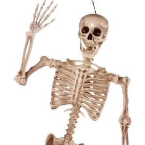 5.6 Ft. White Halloween Posable Body Skeleton Made of Plastic