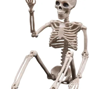 16" Posable Plastic Skeleton with Movable Joints – Outdoor Halloween Decor