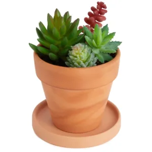 12 Pack Small Terracotta Saucers for Flowers, Indoor, Outdoor Plants, 4.5 In