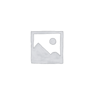 Computer Processors (CPUs)
